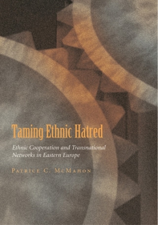 Kniha Taming Ethnic Hatred Patrice C McMahon