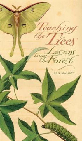 Книга Teaching the Trees Joan Maloof