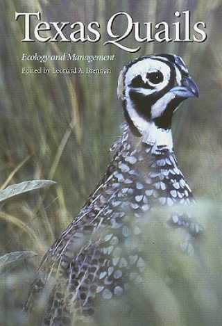 Książka Texas Quails 