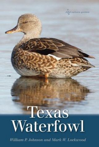 Książka Texas Waterfowl Mark W Lockwood