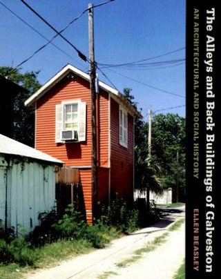 Carte Alleys and Back Buildings of Galveston Ellen Beasley