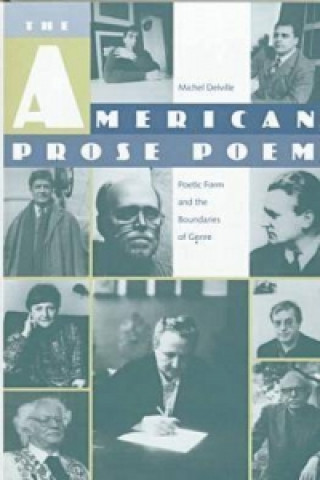 Buch American Prose Poem Michel Delville