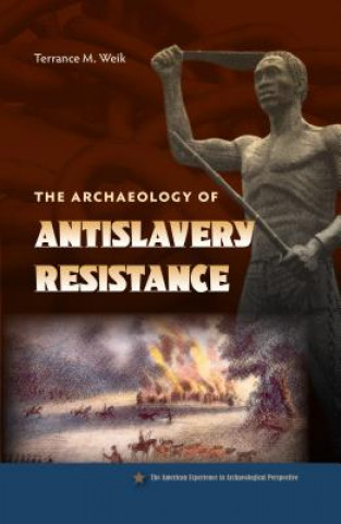 Carte Archaeology of Antislavery Resistance Terrance M Weik