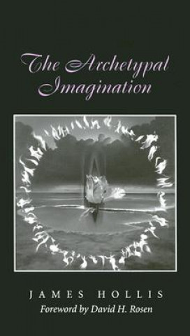 Kniha Archetypal Imagination James Hollis