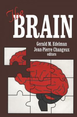 Könyv Brain Jean-Pierre Changeux