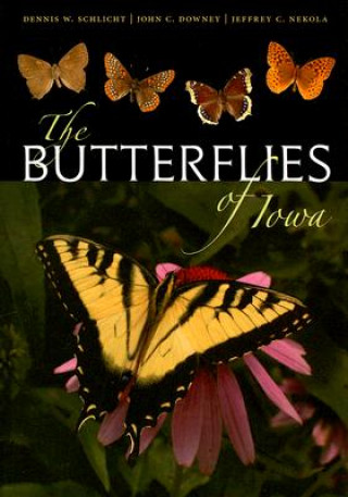 Książka Butterflies of Iowa Jeffrey C. Nekola