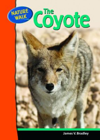 Książka Coyote James Bradley