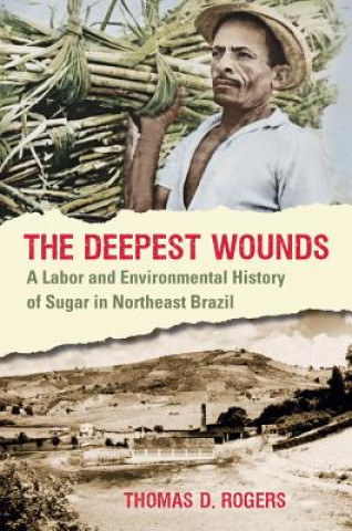 Kniha Deepest Wounds Thomas D. Rogers