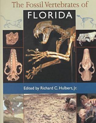 Książka Fossil Vertebrates of Florida Richard C. Hulbert