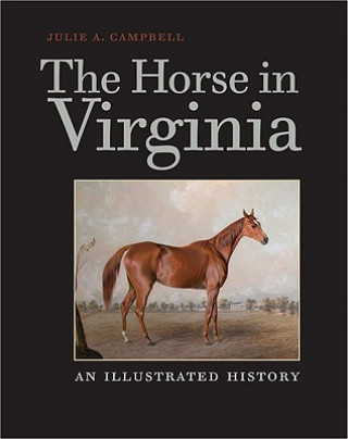 Könyv Horse in Virginia Julie A. Campbell