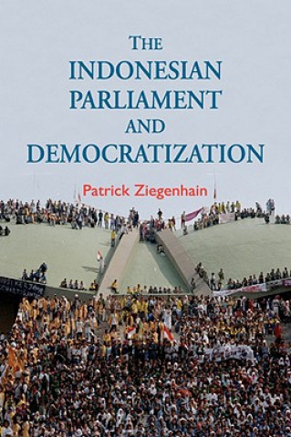 Kniha Indonesian Parliament and Democratization Patrick Ziegenhain