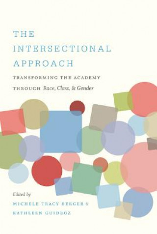 Knjiga Intersectional Approach Michele Tracy Berger
