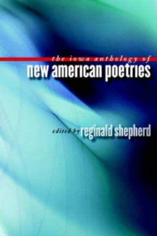 Könyv Iowa Anthology of New American Poetries 