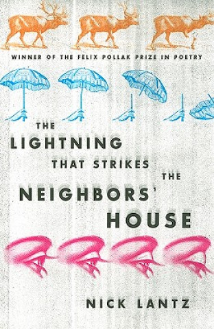Könyv LIGHTNING THAT STRIKES THE NEIGHBORS' HOUSE Nick Lantz