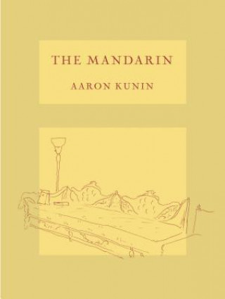 Könyv Mandarin Aaron Kunin
