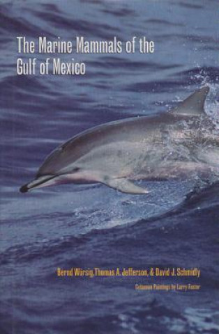 Kniha Marine Mammals of the Gulf of Mexico David J. Schmidly
