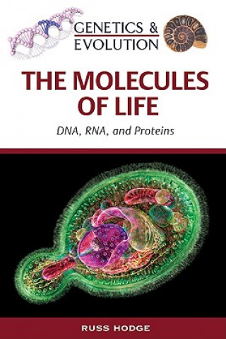 Książka Molecules of Life Russ Hodge