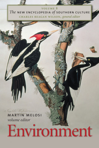 Carte New Encyclopedia of Southern Culture Martin V. Melosi