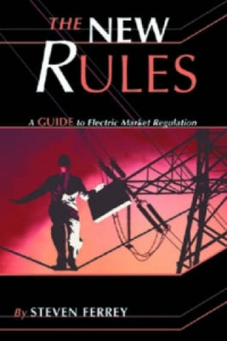Boek New Rules Steven Ferrey
