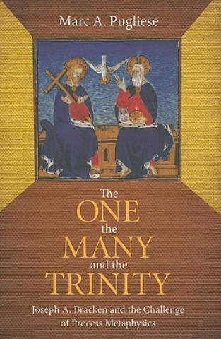 Book One, the Many and the Trinity Marc A. Pugliese