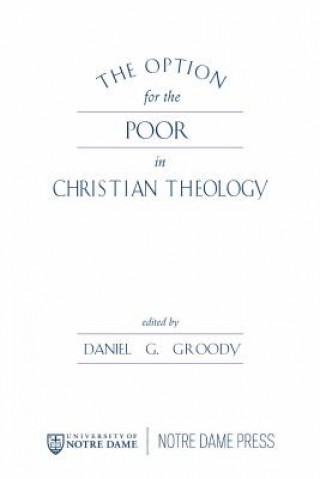 Könyv The Option for the Poor in Christian Theology 