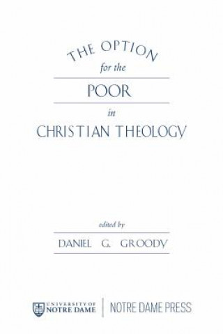 Kniha The Option for the Poor in Christian Theology 