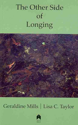 Kniha Other Side of Longing Lisa C. Taylor