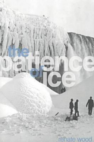 Knjiga Patience of Ice Renate Wood