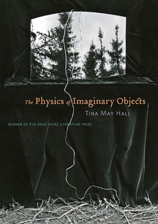 Książka Physics of Imaginary Objects Tina May Hall