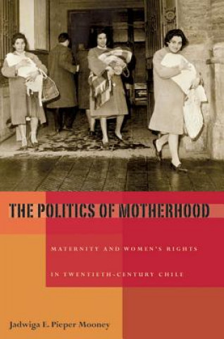 Buch Politics of Motherhood, The Jadwiga E. Pieper Mooney