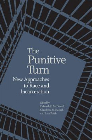 Buch Punitive Turn Deborah E. McDowell