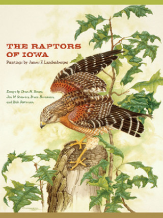 Kniha Raptors of Iowa Rich Patterson