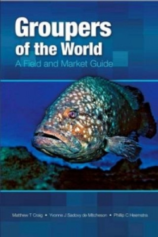 Kniha Groupers of the World O. Heemstra