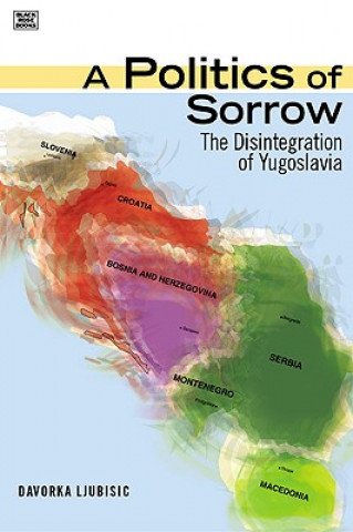 Книга Politics of Sorrow Davorka Ljubisic