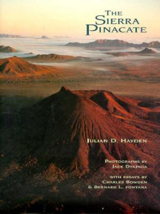 Kniha Sierra Pinacate Julian D. Hayden