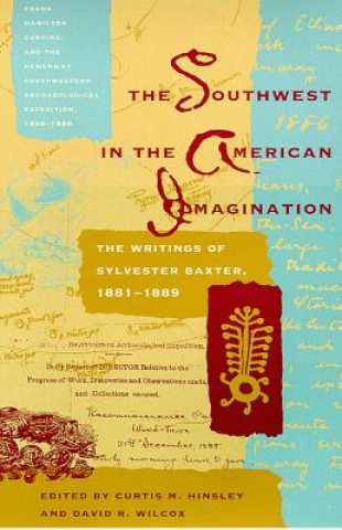 Könyv SOUTHWEST IN THE AMERICAN IMAGINATION David R. Wilcox