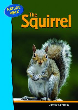 Книга Squirrel James Bradley
