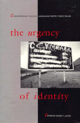 Buch Urgency of Identity David Lloyd