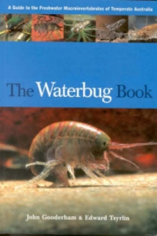 Knjiga Waterbug Book Edward Tsyrlin