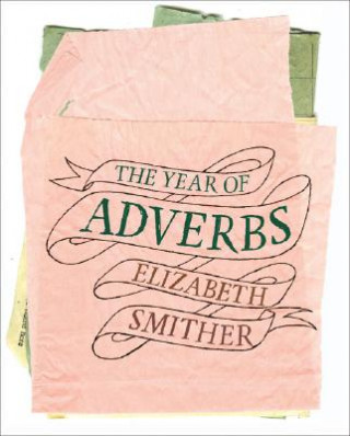 Kniha Year of Adverbs Elizabeth Smither