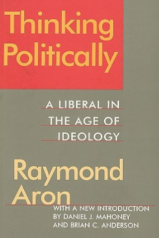 Kniha Thinking Politically Aron Raymond