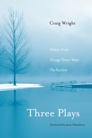 Buch Three Plays Craig Wright