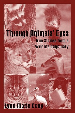 Kniha Through Animal's Eyes Lynn Marie Cuny