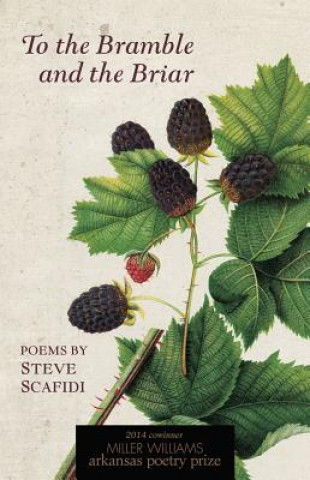 Carte To the Bramble and the Briar Steve Scafidi