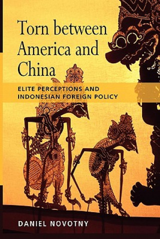 Kniha Torn Between America and China Daniel Novotný