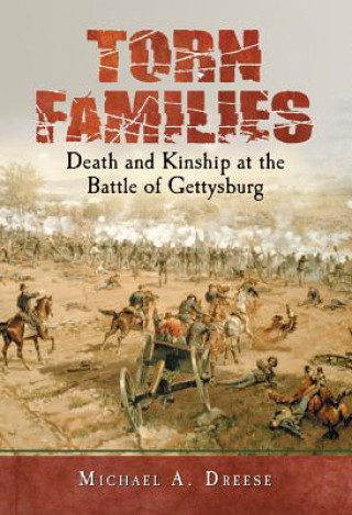 Boek Torn Families Michael A. Dreese