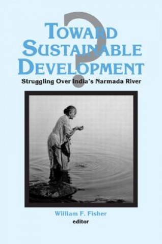 Kniha Toward Sustainable Development? Ronald C. Fisher