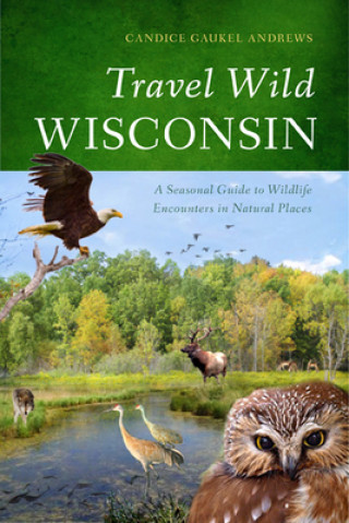 Kniha Travel Wild Wisconsin Candice Gaukel Andrews