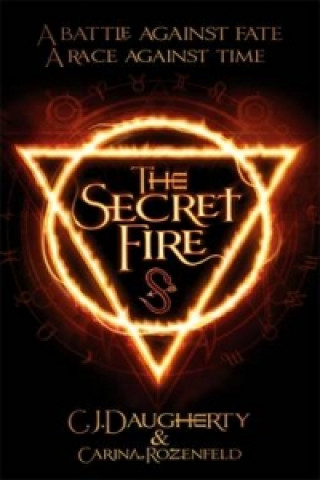 Kniha Secret Fire C. J. Daugherty