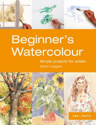 Kniha Beginner's Watercolour Sarah Hoggett